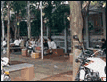 Conhea a UNICAMP
